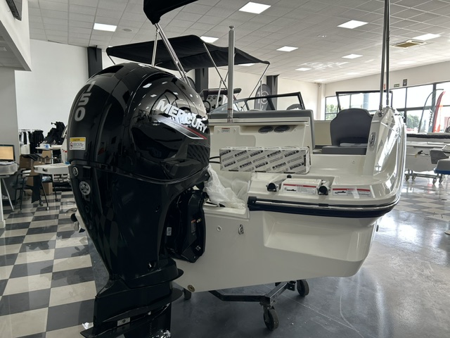 IMG_3907 BAYLINER V20 OB + MERCURY 150 XL EFI FOURSTROKE